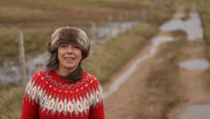 Gaoth Dobhair creative brings you Wordle as Gaeilge 