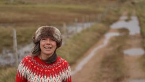 Linda Keating's new online Irish language word game launch