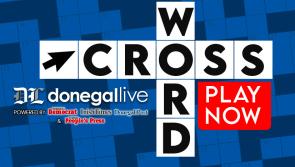 Donegal Live Interactive Crossword Puzzle