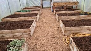 Mother Nature wants you to join a community garden