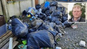 Public must be informed of any law change on use of technology to catch litter louts - Cllr