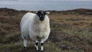 Public meeting in Donegal to inform on new CAP and further designations
