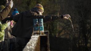 Salmon season opens on the River Finn