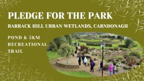 Barrack Hill urban wetlands project 