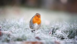 Cold and frosty morning ahead

