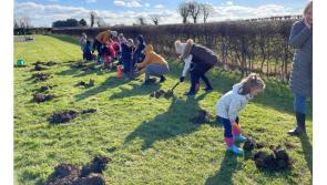 An Choill Bheag ‘little woodland’ forest classrooms come to Monreagh