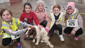Results and gallery: Gaelscoil Adhamhnáin fundraiser attracts huge numbers