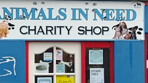 Bargains galore as charity shop announces massive €1 max clearance sale 