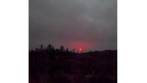 Light pollution threat to wildlife and  birds of prey in West Donegal