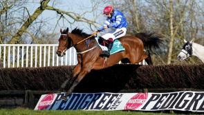 Conor Orr wins Midlands Grand National on 12/1 shot