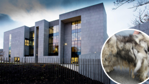 Woman banned from keeping animals after dog found in 'filthy' conditions