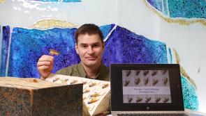World famous Ballyshannon 'Rogan' salmon fish flies feature in new history book