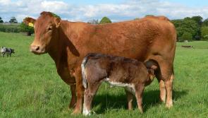 €2 million funding for climate action 'will assist farmers and rural communities'