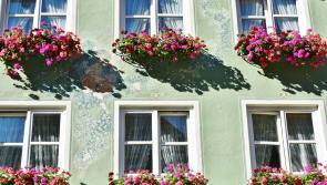 'Keep the country looking its best' - 2022 TidyTowns competition launched