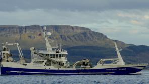 'Lose/lose for Killybegs is win/win for Foyle Port'
