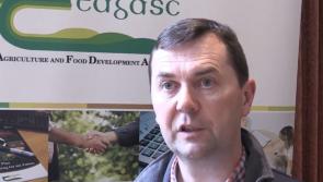 Outlook for beef prices is positive, Donegal IFA meeting hears