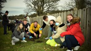 Watch: Tree planting at the Bluestack Special Needs Foundation 