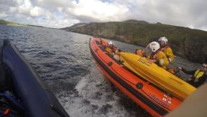 Rescue of sheep trapped on Donegal cliff ledge by kayaker recalled in new book 