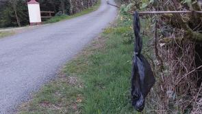 Disgusting! Poop bag hanging on roadside branch leads to call to bin dog poo