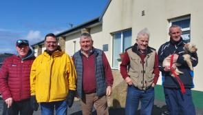 Gallery: Hugh Cassidy Memorial Walk on Leghowney Loop