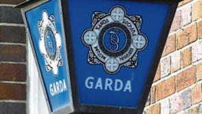 Garda&iacute; seek information after BMW drove away from scene of collision