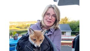 Former Tánaiste Mary Coughlan helps out with fox cub rescue