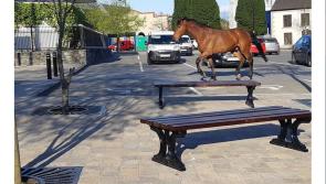 Hi Ho Silver ...horse gallops around Raphoe this evening

