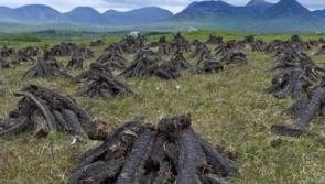 Dáil passes 'no ban on burning of peat' motion 