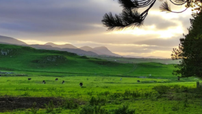 Green light for upgrades at stunning Lurgabrack Nature Reserve 