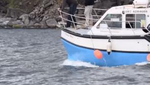 Watch: Dolphins delight visitors as they swim alongside boats at Sliabh Liag