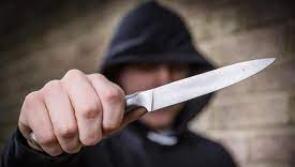 Children find ten-inch knife behind home following assault in Letterkenny