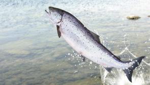Inshore fishery “on its knees” - Jerry Early