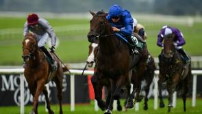 RACING: Top tips for 2,000 Guineas day at the Curragh 