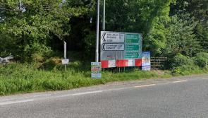 Garda hunt for black BMW involved in hit and run