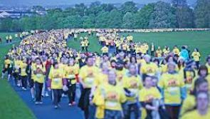 More than 750 avail of suicide prevention therapy at Pieta office

