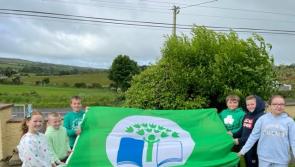 Ice cream and jelly celebrations for St Johnston pupils