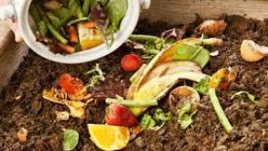 Fight climate change in Donegal by disposing of your leftover food properly


