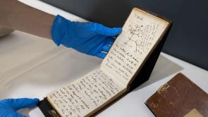 'Direct connection with the past' - Charles Darwin notebooks thought to be missing to go on display