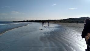 Water Safety Ireland issues appeal after tragic drownings