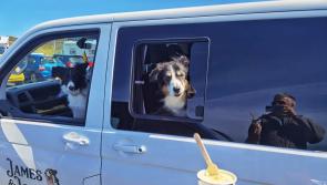 James and the girls go on and off the grid during their visit in Wales