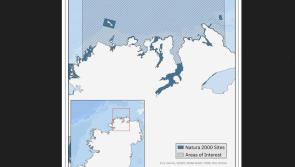 North Donegal coast identified as potential marine protected area