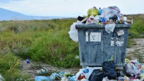 New initiatives needed to deal with Donegal's litter problem - McGowan