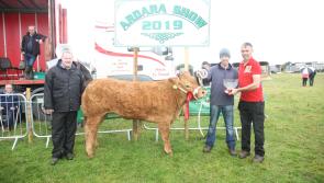 Final countdown to this year's Ardara Show this Saturday