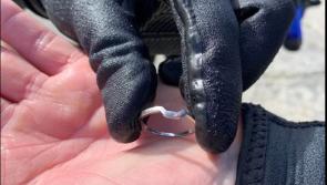 Lost wedding ring recovered by eagle-eyed diver much to couple's delight