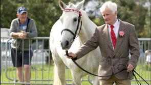 Photo Gallery at  Ballyshannon Agricultural Show 