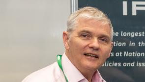 Decommissioning Irish fishing fleet will not preserve fish stocks

