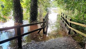 Flooding cuts off part of popular forest walk
