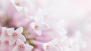 Deaths in Donegal - Monday morning, November 14, 2022