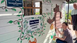A splash of colour brightens up the  community gardens