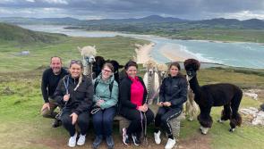 Over one million people to read about Inishowen